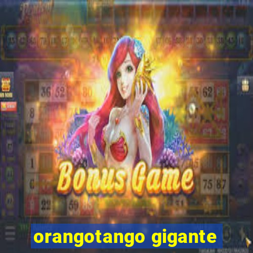 orangotango gigante